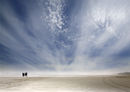 Ninety Mile beach